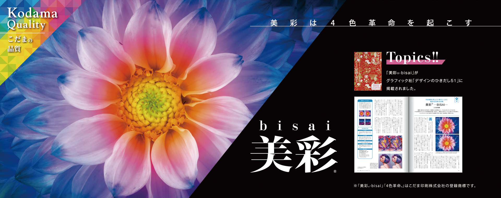 美彩-bisai